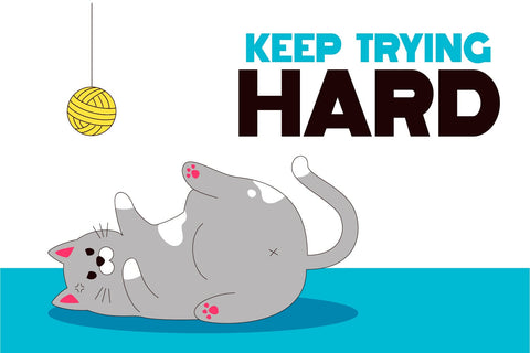 Kitty Cat Fonts Font Fox7 By Rattana 