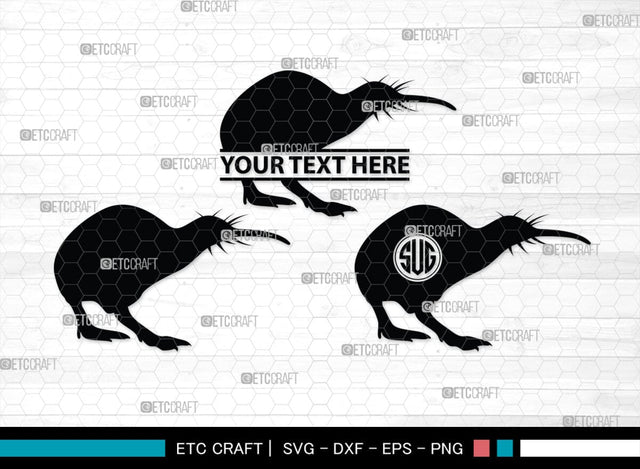 Kiwi Monogram, Kiwi Silhouette, Kiwi SVG, Kiwi Bird Svg, Australia Bird Svg, Kiwi Animal Svg, Animals Svg, SB00286 SVG ETC Craft 