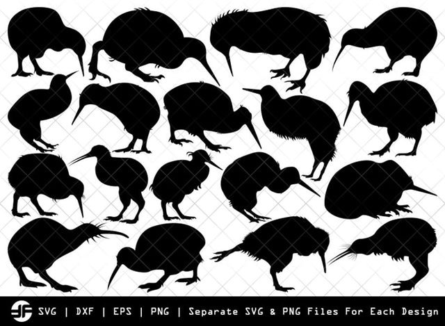 Kiwi SVG | Animal SVG | Silhouette Bundle | SVG Cut File SVG ETC Craft 