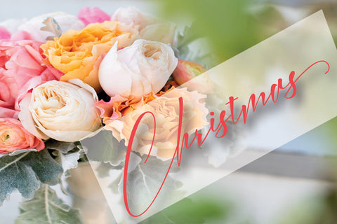 Knightley Font PolemStudio 