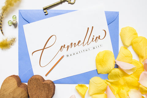 Knightley Font PolemStudio 