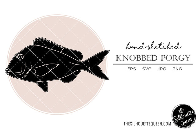 Knobbed Porgy Hand sketched, hand drawn vector clipart SVG Loveleen Kaur 