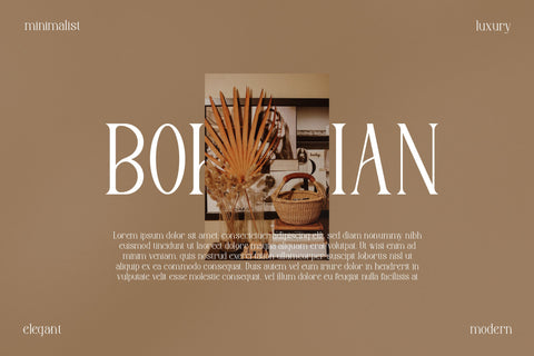 Koaliba Typeface Font Storytype Studio 