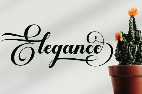 Koodgeta Font WsStudio 