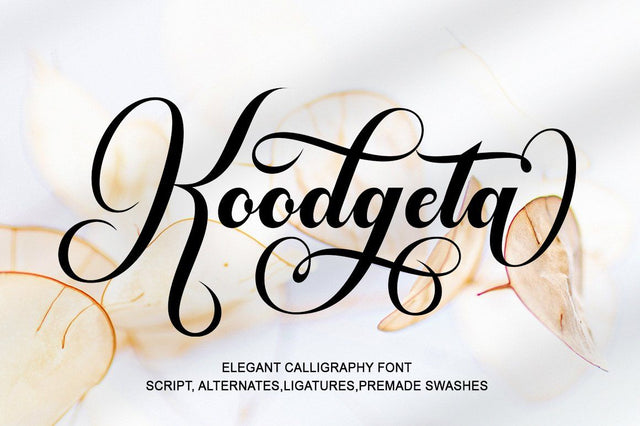 Koodgeta Font WsStudio 