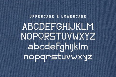 La revis - Modern Serif Font SVG Masyafi Studio 