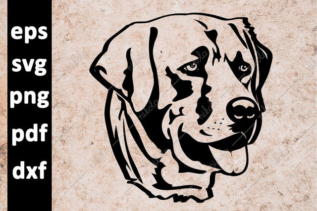Labrador Dog Cut File Clipart PNG SVG EPS DXF PDF SVG nikola 