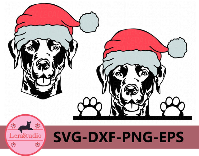 Labrador Retriever Svg SVG Lerastudio 