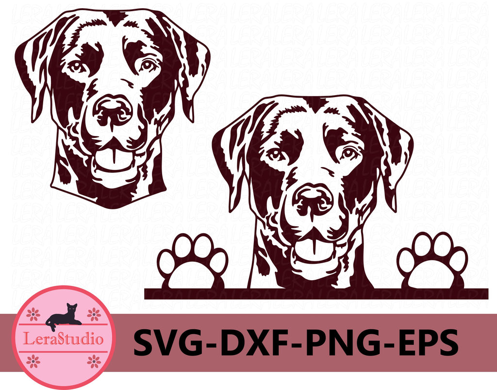 Labrador Retriever Svg - So Fontsy