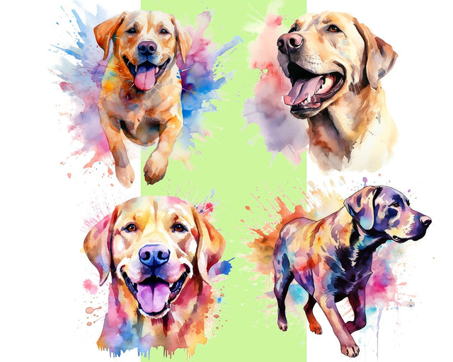 Labrador Retriever Watercolor JPG PNG Sublimation nikola 