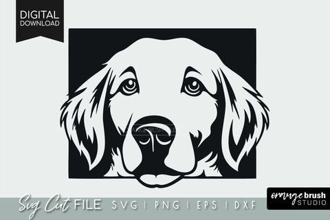 Labrador SVG, Peeking Dog Svg, Labrador Retriever Cut File SVG OrangeBrushStudio 