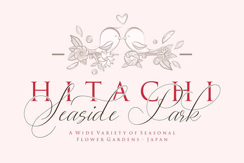 Lady Suettaya Font Sulthan studio 