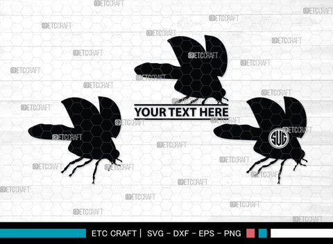 Ladybug Monogram, Ladybug Silhouette, Ladybug SVG, Beetle Svg, Bug Svg, Ladybird Svg, Insect Svg, SB00288 SVG ETC Craft 