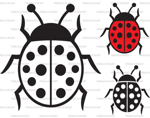 Ladybug or beetle icon SVG TribaliumArtSF 