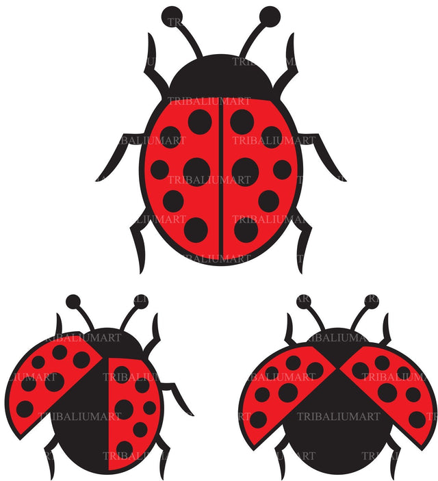 Ladybug or beetle icons SVG TribaliumArtSF 
