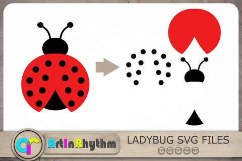 Ladybug SVG & Png File Lady Bug Clip Art Vector Image SVG 