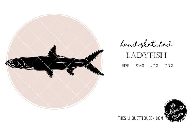 Ladyfish Hand sketched, hand drawn vector clipart SVG Loveleen Kaur 