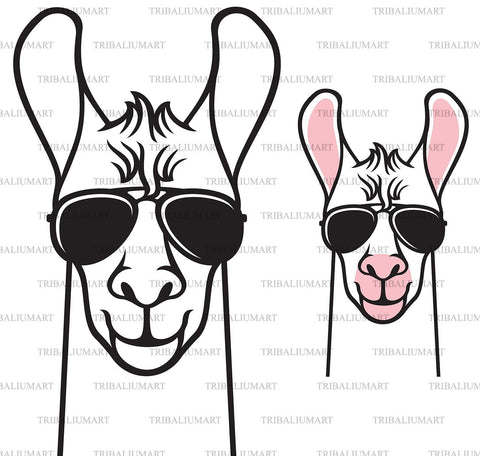 Lama with aviator sunglasses SVG TribaliumArtSF 