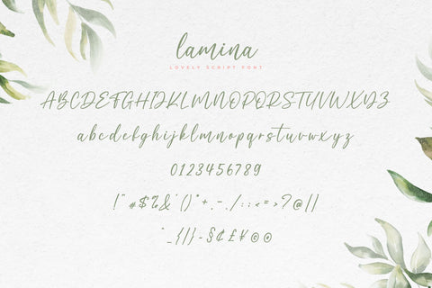 Lamina Script Font Font Typobia 