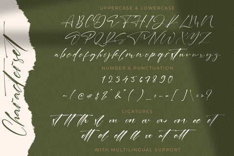 Laneky Haizen - Signature Script Font Font StringLabs 