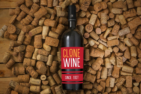 LARON Font zafrans studio 