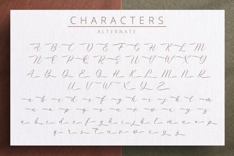 Latterday - Elegant Script Font Font Alpaprana Studio 