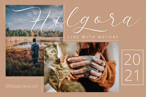 Latterday - Elegant Script Font Font Alpaprana Studio 