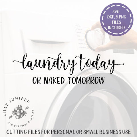 Laundry Today or Naked Tomorrow SVG | Home SVG | Farmhouse Sign Design SVG LilleJuniper 