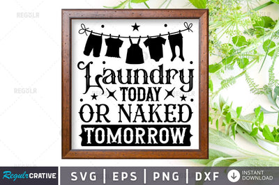 laundry today or SVG SVG Regulrcrative 