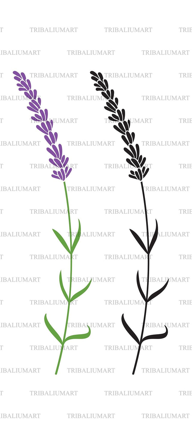 Lavender flower SVG TribaliumArtSF 