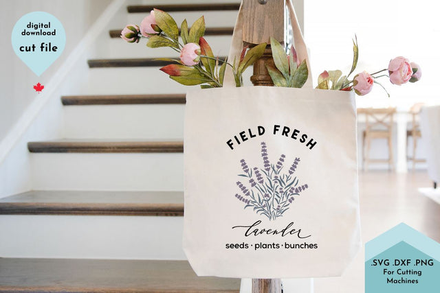 Lavender SVG Cut File - Field Fresh Flowers SVG Lettershapes 