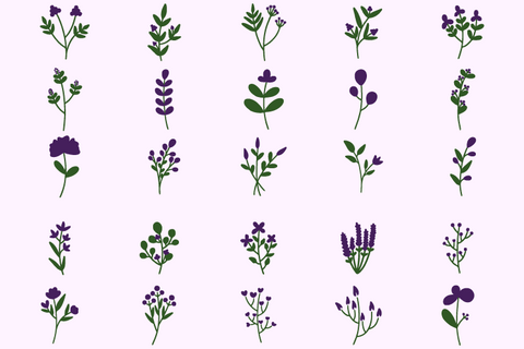 Lavender wreaths clipart bundle SVG Masyafi Studio 