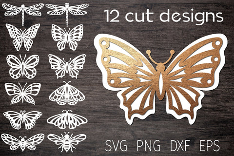 Layered butterfly svg bundle, 3d butterfly papercut SVG Digital Rainbow Shop 