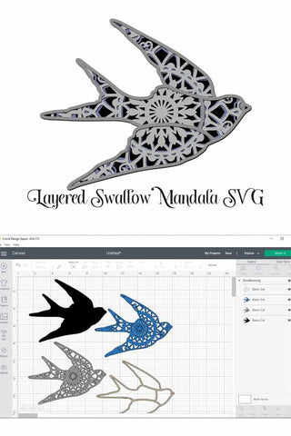 Layered Swallow Mandala SVG SVG Digital Honeybee 