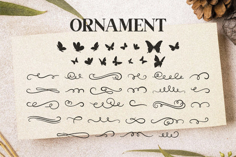 Laylarita Font Letterena Studios 