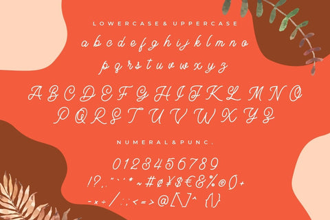 Layttona Stylish Monoline Font Creatype Studio 