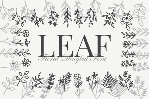 Leaf - A Floral Dingbat Font Font Masyafi Studio 