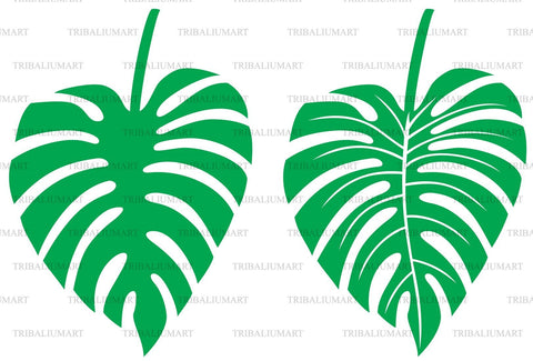 Leaf of Monstera SVG TribaliumArtSF 