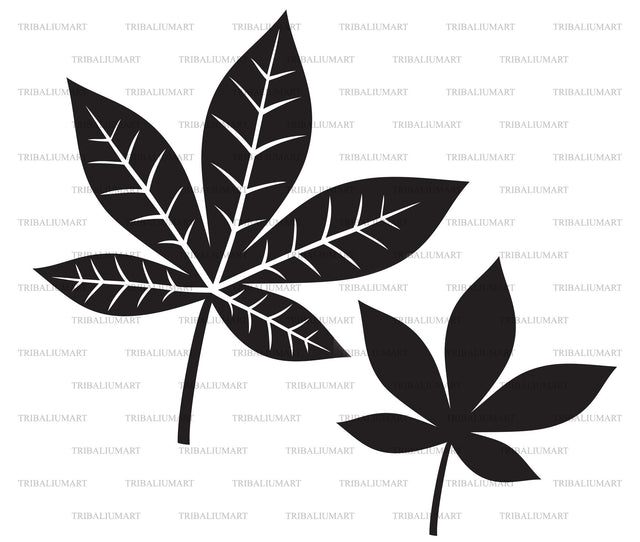 Leaf silhouette SVG TribaliumArtSF 