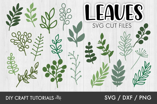 Leaf SVG Template - 20 Hand drawn Leaves SVG DIY Craft Tutorials 