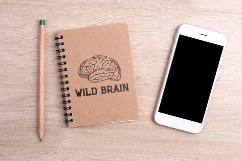 Learn Guard - Modern Slab Serif Font Masyafi Studio 