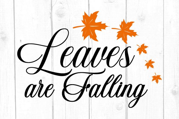 Leaves Are Falling Svg SVG cricutfilesmg 