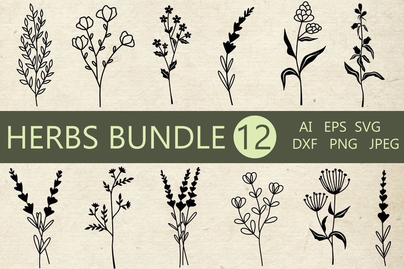 Leaves bundle svg, Herbs paper cut, Lavender svg, Floral silhouette dxf SVG AnastasiyaArtDesign 