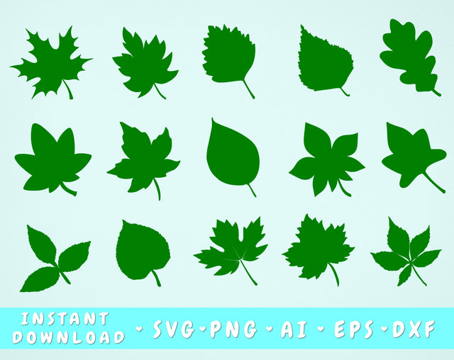 Leaves SVG Bundle - 15 Designs, Maple Leaf SVG, Aspen Leaf SVG, Oak Leaf SVG SVG HappyDesignStudio 