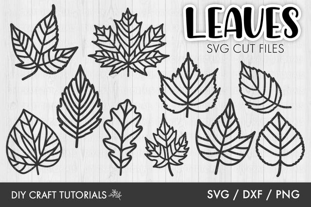 Leaves SVG SVG DIY Craft Tutorials 