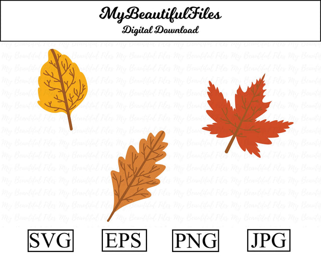 leaves - thanksgiving SVG MyBeautifulFiles 