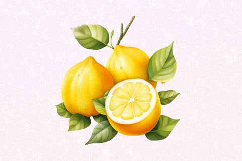 Lemon Clipart Bundle Sublimation Regulrcrative 