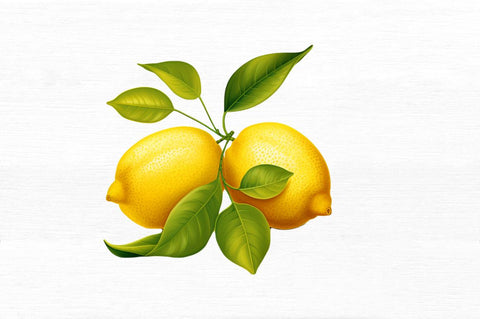 Lemon Clipart Bundle Sublimation Regulrcrative 