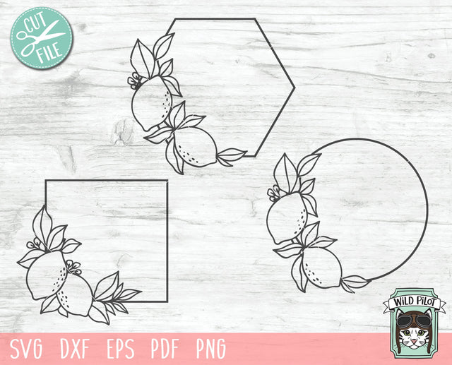 Lemon Frames SVG Cut File, Lemon Frame SVG, Summer SVG, Lemonade Stand SVG, Hexagon Round Square Frames SVG SVG Wild Pilot 
