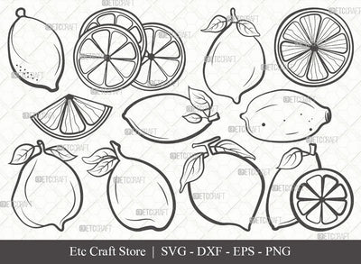 Lemon Outline SVG Cut File | Half Lemon Svg | Lime Svg | Fruit Svg | Lemon Slice Svg | Lime Bundle | Summer SVG | Eps | Dxf | Png | SVG ETC Craft 